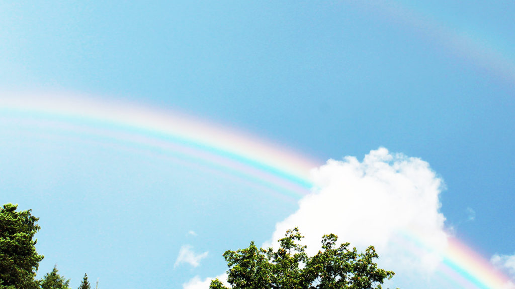 ココナラ 虹の画像